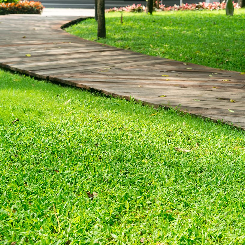 boardwalk in the park